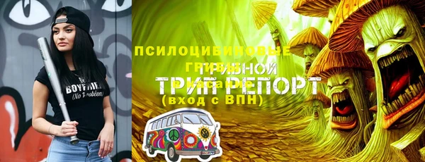 дживик Алзамай