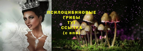 дживик Алзамай