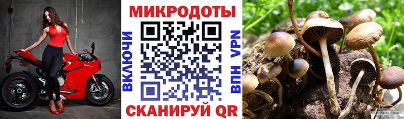 продажа наркотиков  Куса  Псилоцибиновые грибы Psilocybine cubensis 