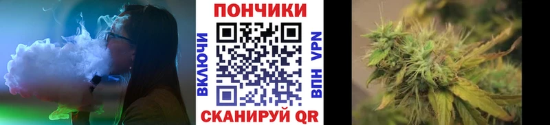 Канабис сатива Куса